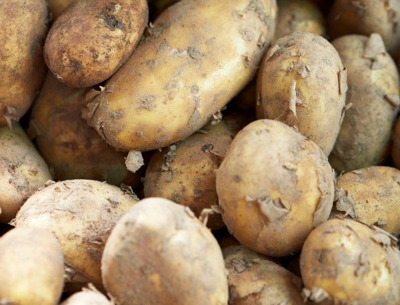 Best ways to use up Jersey Royal potatoes, Features