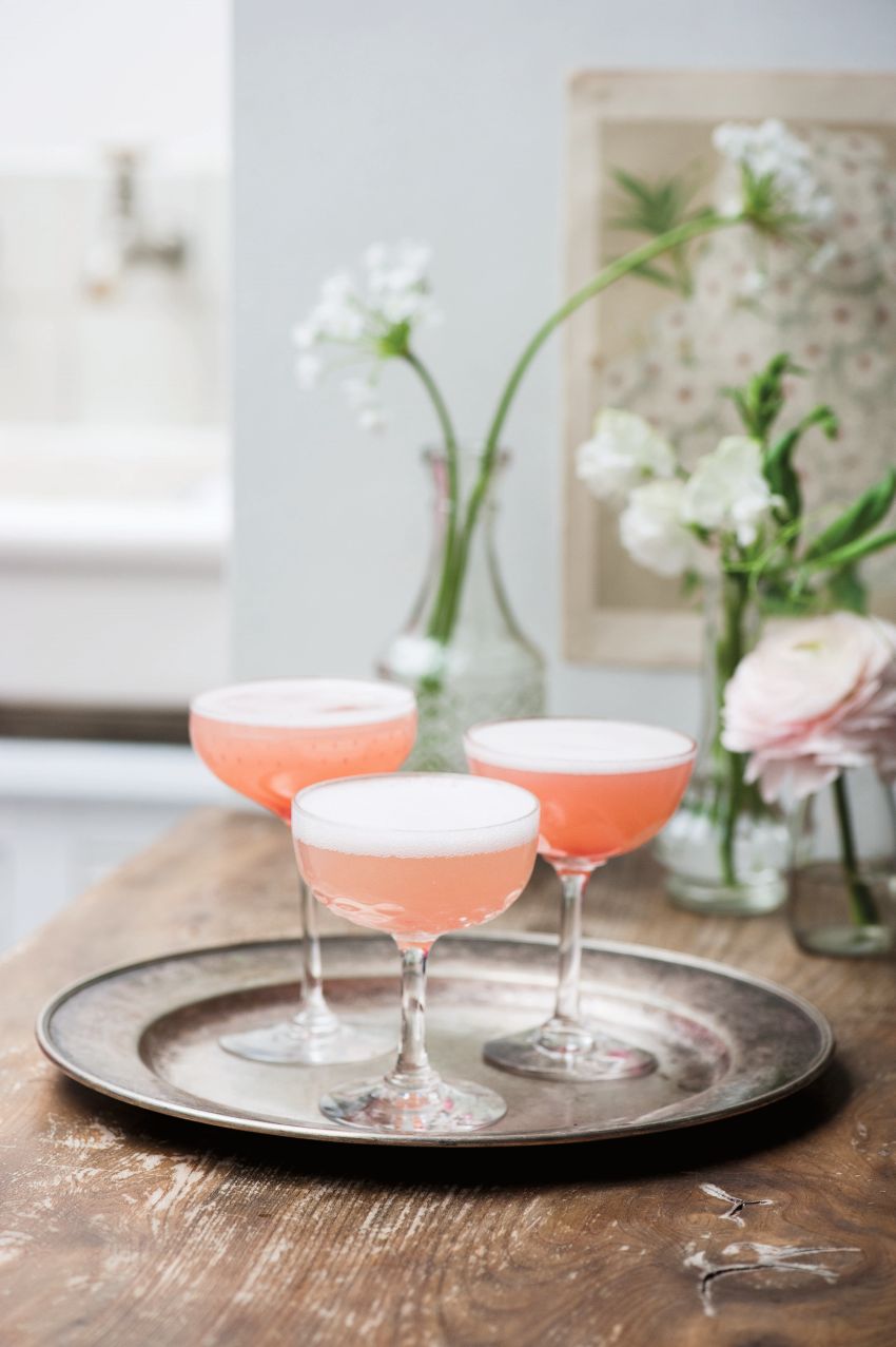 Sparkling Rhubarb Cocktail