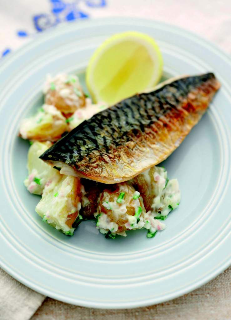 Warm Jersey Royal Potato Salad with Seared Mackerel Fillets