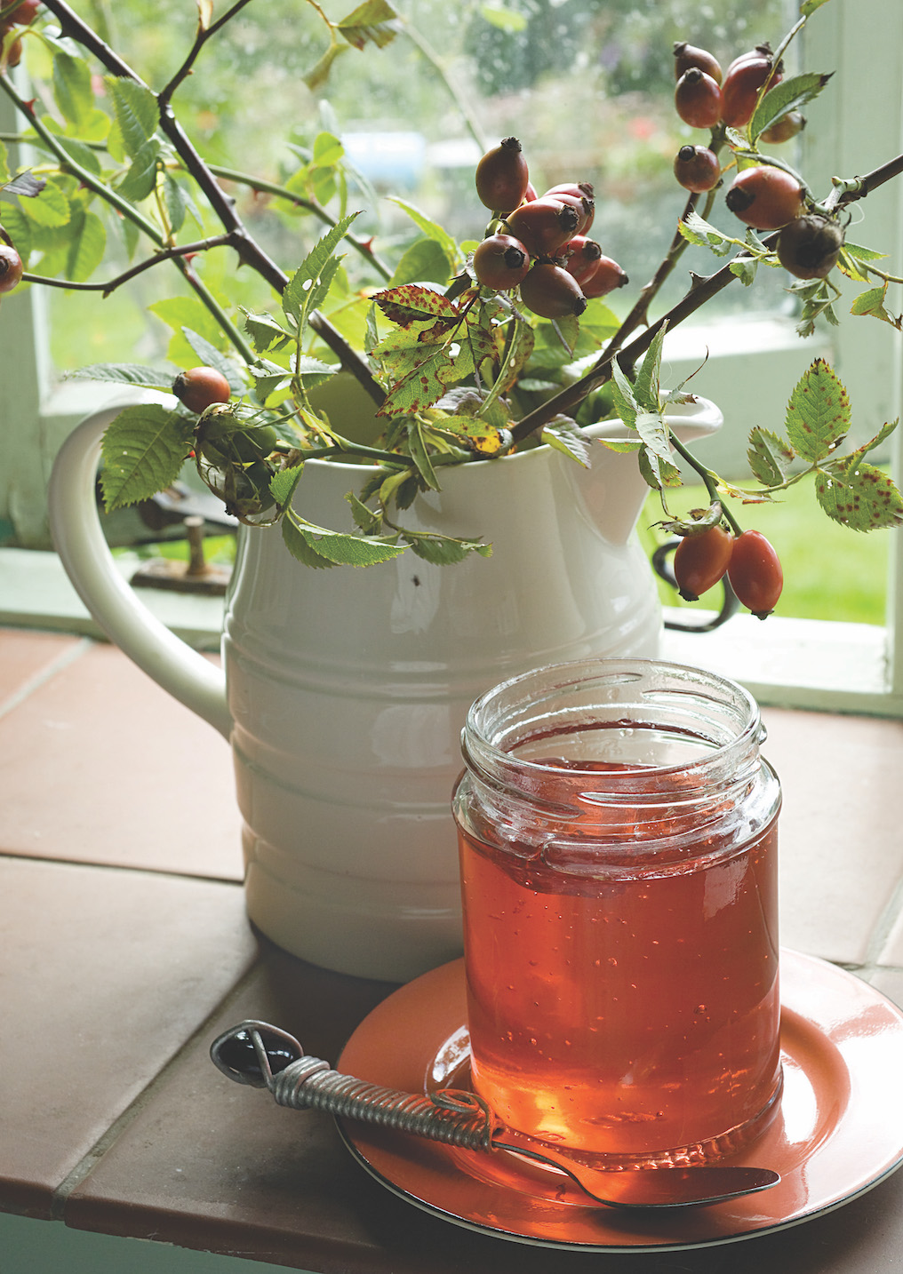 Rosehip Jelly