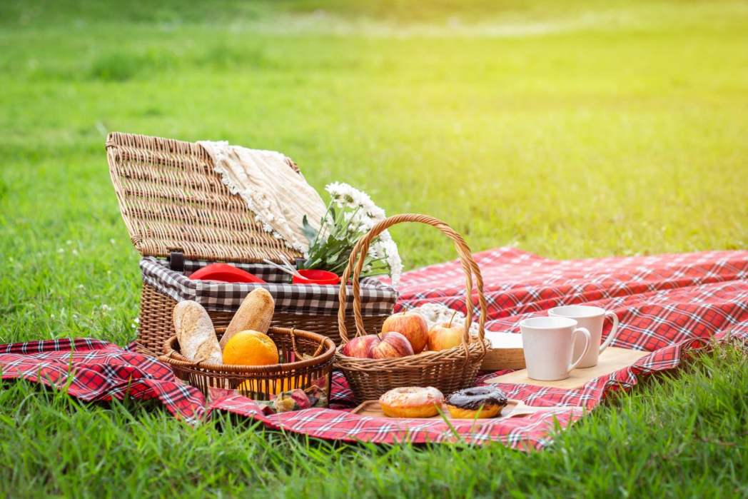 The 10 Best Picnic Baskets for Dining Outdoors in 2024