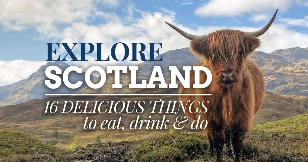 Image for blog - 16 Ways to Celebrate Scottish Food & Drink for Burns Night